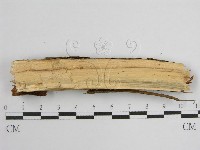 登錄號:F0012811藏品圖，第5張
