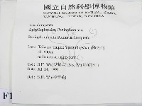 登錄號:F0012813藏品圖，第2張