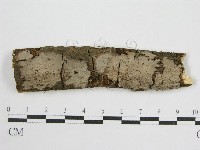 登錄號:F0012813藏品圖，第1張