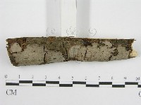 登錄號:F0012813藏品圖，第3張