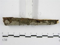 登錄號:F0012813藏品圖，第4張