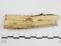登錄號:F0012813藏品圖，第5張