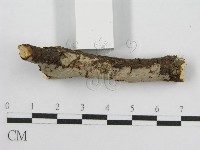 登錄號:F0012814藏品圖，第3張