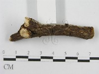 登錄號:F0012814藏品圖，第4張