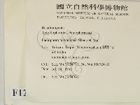 登錄號:F0012818藏品圖，第2張