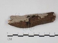 登錄號:F0012818藏品圖，第1張
