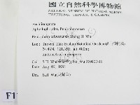 登錄號:F0012819藏品圖，第2張