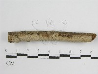 登錄號:F0012819藏品圖，第1張