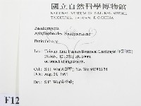 筍殼菌屬藏品圖，第2張