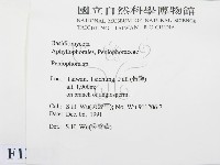 筍殼菌屬藏品圖，第2張
