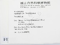 筍殼菌屬藏品圖，第2張