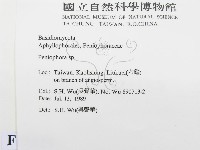 筍殼菌屬藏品圖，第2張