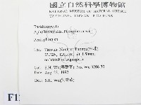 筍殼菌屬藏品圖，第2張