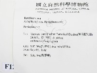 筍殼菌屬藏品圖，第2張