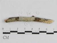 登錄號:F0012830藏品圖，第1張