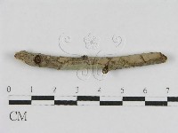 登錄號:F0012830藏品圖，第3張