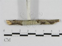 登錄號:F0012830藏品圖，第4張