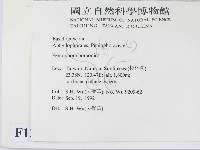 登錄號:F0012833藏品圖，第2張