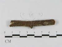 登錄號:F0012833藏品圖，第4張