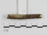 登錄號:F0012833藏品圖，第5張