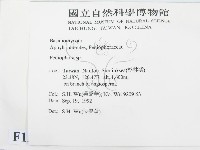 筍殼菌屬藏品圖，第2張