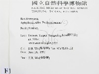 筍殼菌屬藏品圖，第2張
