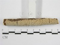登錄號:F0012836藏品圖，第3張