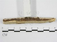 登錄號:F0012836藏品圖，第5張