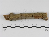 登錄號:F0012838藏品圖，第1張