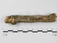 登錄號:F0012838藏品圖，第4張
