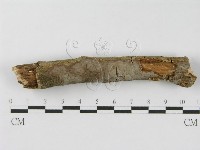登錄號:F0012838藏品圖，第5張