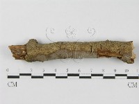 登錄號:F0012838藏品圖，第6張