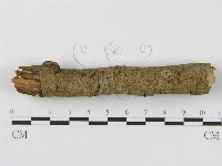 登錄號:F0012838藏品圖，第7張