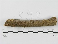登錄號:F0012838藏品圖，第8張