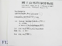 登錄號:F0012839藏品圖，第2張