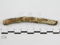 登錄號:F0012839藏品圖，第1張