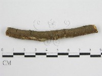 登錄號:F0012839藏品圖，第3張