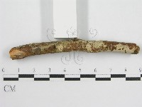 登錄號:F0012839藏品圖，第4張