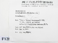 筍殼菌屬藏品圖，第2張