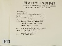 筍殼菌屬藏品圖，第2張