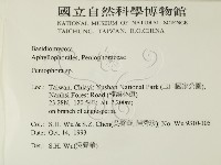 筍殼菌屬藏品圖，第2張