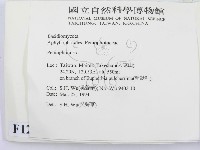 筍殼菌屬藏品圖，第2張