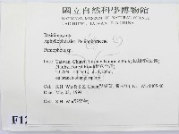筍殼菌屬藏品圖，第2張