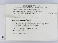 登錄號:F0012849藏品圖，第2張