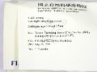 登錄號:F0012851藏品圖，第2張
