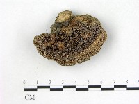登錄號:F0012851藏品圖，第1張