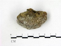 登錄號:F0012851藏品圖，第3張