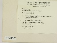 登錄號:F0012852藏品圖，第2張