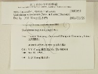登錄號:F0012853藏品圖，第2張