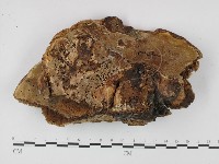 登錄號:F0012853藏品圖，第3張